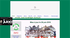 Desktop Screenshot of judoolympiquesaleilles.fr