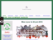 Tablet Screenshot of judoolympiquesaleilles.fr